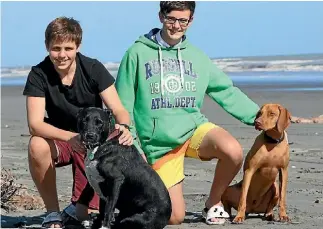  ?? LOUISA GAIMSTER ?? Walking the dogs on Himitangi Beach.