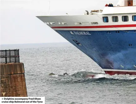  ?? ?? Dolphins accompany Fred Olsen cruise ship Balmoral out of the Tyne