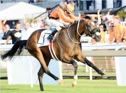  ??  ?? BIG PLANS. Abashiri will be flown to Cape Town to run in the L’Ormarins Queen’s Plate and The Met next year, according to his trainer Mike Azzie.