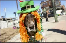  ?? KEVIN MOHATT — DENVER POST FILE ?? Brandy is dressed up in a green hat with red hair during the St. Patrick’s Day Parade in Denver on March 11, 2023.