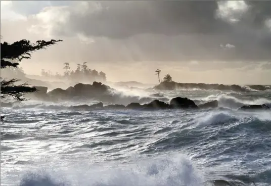  ??  ?? Vancouver Island’s Wild Pacific Trail is a magical journey along the edge of the open Pacific Ocean.