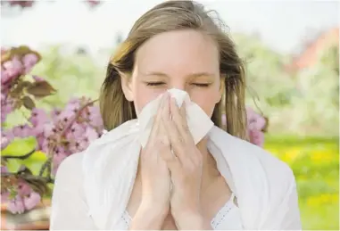  ??  ?? Vancouver’s warm weather and sunshine increase the pollen in the city, causing many stuffy noses and watery eyes.