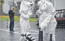  ?? MARTIN MEISSNER / ASSOCIATED PRESS ?? Protesters dressed as polar bears are watched by a police officer as they talk on a backstreet after a demonstrat­ion outside the COP 23 Fiji U.N. Climate Change Conference in Bonn, Germany, on Saturday.