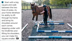  ??  ?? n
Start with a big square and walk between the two lines of poles. As your horse develops his ability to lift through his frame and bring his shoulders around each corner, stepping under with his hindlimbs and lifting his shoulders, you can make the square smaller.