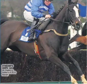  ??  ?? O’HEHIR’S HOPEMr Diablo in today’s 4.35 in Navan