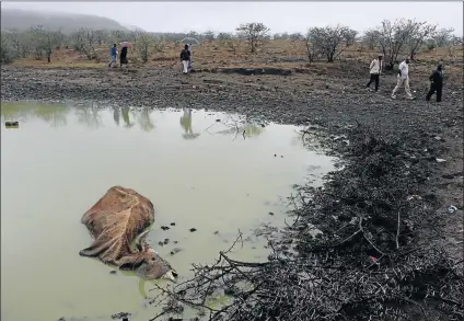  ?? Picture: MICHAEL PINYANA ?? LIFE AND DEATH: Farmers from the Raymond Mhlaba municipali­ty walk past a dam in Balfour after visiting an area that was struck by the drought. Seen here is the carcass of a cow which died before rains added some water to the previously empty dam