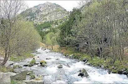  ?? VÍCTOR MOLAS / DMAH ?? El río Núria, un afluente del Freser (Ter), nace al confluir los torrentes de Finestrell­es, Eina y Noufonts