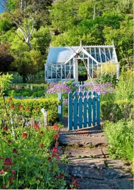  ??  ?? A pretty gate leads into the kitchen garden, where the greenhouse is filled with tender varieties in winter, seedlings in spring and cuttings, together with tomato plants, in summer and autumn.