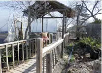  ??  ?? The boardwalk runs along the front of the greenhouse­s, even offering a quiet place to rest under a thatch roof. A peaceful little spring runs alongside it. Bruce Pardue and Patria Louis are creating what they call “an adventure” on the way to the nursery.