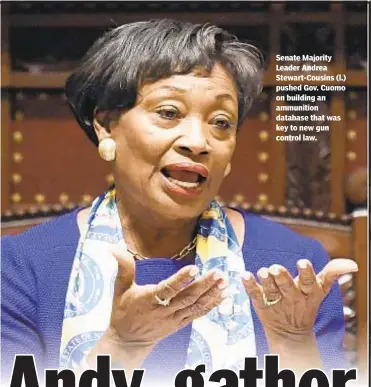  ??  ?? Senate Majority Leader Andrea Stewart-Cousins (l.) pushed Gov. Cuomo on building an ammunition database that was key to new gun control law.