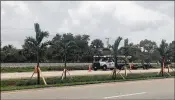  ?? SARAH PETERS / THE PALM BEACH POST ?? Landscaper­s have planted new palm trees and grass in the median of Alternate A1A near the Promenade Plaza shopping center.