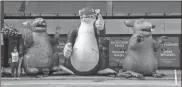 ?? Jose M. Osorio/chicago Tribune/tns, File ?? Several inflatable rats outside of a building on the 100 block of West Washington Street in Chicago’s Loop in 2019.