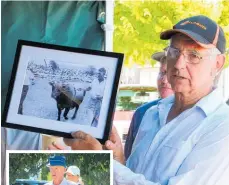  ?? ?? Ron Horn with a picture of Kaimatarau Blueboy, a famous Jersey bull bred by Arch Pedley, Bruce’s dad.