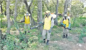  ??  ?? El Senepa no hace fumigacion­es preventiva­s y solo se realizan en zonas donde se confirman casos de dengue.