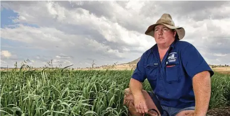  ?? Photo: Nev Madsen ?? OFF TRACK: Charlton farmer Tim Durre is concerned about the proposed Inland Rail ploughing through his irrigated farm.