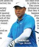  ??  ?? MIRACLE: Tiger Woods