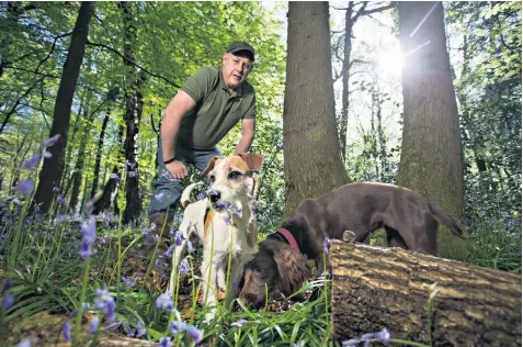  ??  ?? Matt Sims and his terrier Truffle and sprocker spaniel Bella sniff out the sought-after fungi on his purpose-planted land in the Monmouthsh­ire countrysid­e