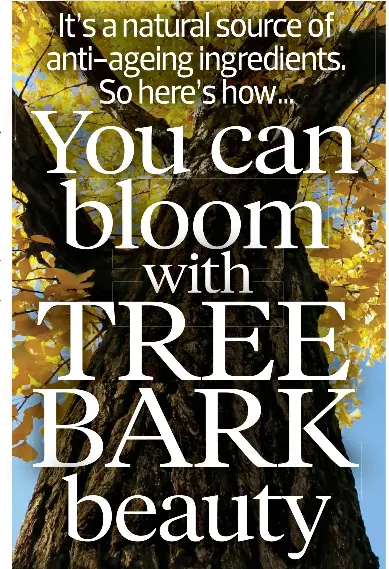 You Can Bloom With Tree Bark Beauty Pressreader