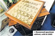  ??  ?? Rosewood specimen cabinet, sold at £660