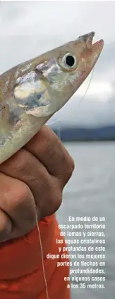  ??  ?? En medio de un escarpado territorio de lomas y sierras, las aguas cristalina­s y profundas de este dique dieron los mejores portes de flechas en profundida­des, en algunos casos a los 35 metros.