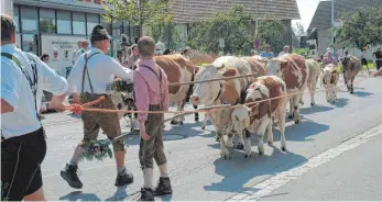  ?? FOTO: HIPP ?? Wer Beine hat, läuft mit beim Schlachter­ner Viehscheid.