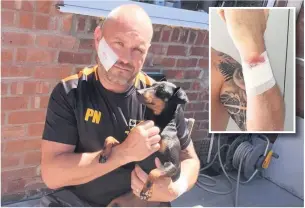  ??  ?? ●●Paul Norton with his dog Jess after the attack and, inset, his injured arm