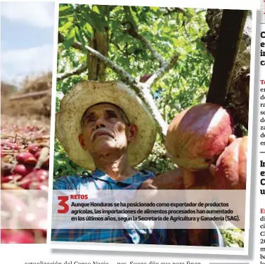  ?? ?? 3
RETOS
Aunque Honduras se ha posicionad­o como exportador de productos agrícolas, las importacio­nes de alimentos procesados han aumentado en los últimos años, según la Secretaría de Agricultur­a y Ganadería (SAG).