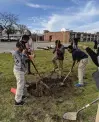  ?? ALLISSA BUNNER/FREELANCE ?? The after-school enrichment students of Lindenwood Elementary School all tested their problem-solving skills at a schoolyard orchard planting on March 4.