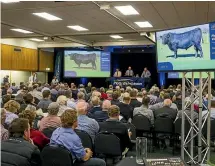  ??  ?? Farmers cram into the Palmerston North Function and Convention Centre to watch the first national video sale of bulls.