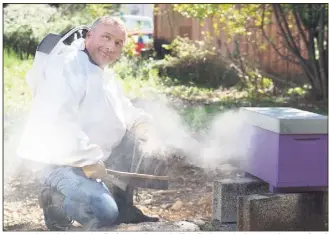  ??  ?? Luc Martel, en plein exercice d’enfumage de ses abeille, afin de manipuler ses ruches sans (trop) prendre le risque de se faire piquer. (Photo J.-S. G.-A.)