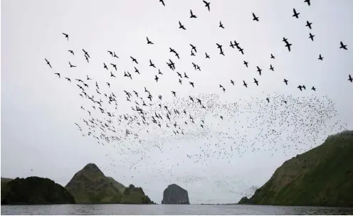  ?? Foto: imago ?? Vögel, Meer und Felsen – einige Inseln der Kurilen sind vor allem Steine des Anstoßes.
