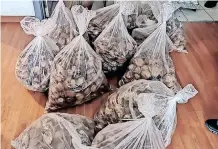  ?? | SAPS ?? BAGS of confiscate­d, poached abalone with a street value of about R3.7 million.