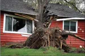  ?? (AP/Star Tribune/David Joles) ?? A tree toppled by high winds from an overnight thundersto­rm smashed into a house, splitting it in two, on Thursday in Coon Rapids, Minn.