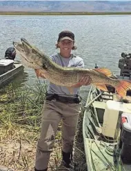  ?? ASSOCIATED PRESS ?? This August 2015 photo provided by the Nevada Department of Wildlife shows state fisheries biologist Kim Tisdale holding a northern pike removed from Comins Lake in eastern Nevada during an effort to eradicate the invasive predators.