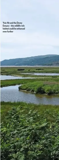  ??  ?? Ynis-Hir and the Dovey Estuary – this wildlife-rich habitat could be enhanced even further