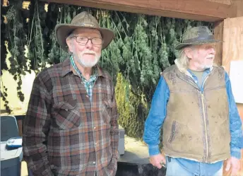  ?? Robin Abcarian Los Angeles Times ?? FOR DECADES, twin brothers John and Robert Cunnan, 76, have grown pot on the side to help pay bills. They’re among the small operators who fear that legalizati­on would push them out of the industry.