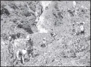  ??  ?? Officials and employees of Padcal mine plant bamboo seedlings along the riverbanks of Sal-angan River.