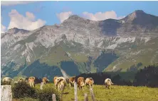  ?? TNS PHOTOS ?? TOWN & COUNTRY: Cows graze in the shadow of the Swiss Alps. above. In Lausanne, Switzerlan­d, top, ancient architectu­re and moderns trends collide.