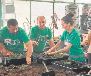  ?? ?? Algunos trabajador­es preparan plantones en los viveros El Sembrador // CÁRITAS