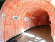  ?? PHOTO COURTESY OF HENRY FORD HEALTH SYSTEM. ?? Giant Colon exhibit to be held at Henry Ford West Bloomfield Hospital, 10 a.m.-2 p.m. March 4. The walkthroug­h exhibit depicts the good and bad things that can appear in the human colon.