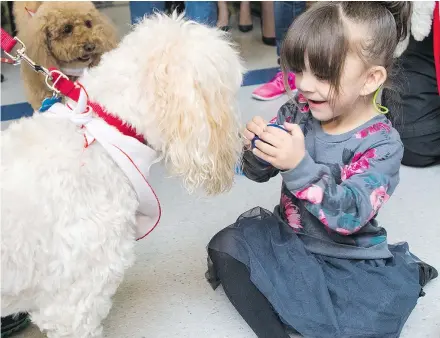  ?? FRANCIS GEORGIAN ?? Patient Blayke Vandusen gets up close with a therapy dog at B.C. Children’s Hospital.