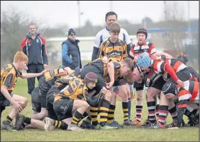  ??  ?? Hinckley U14s faced their toughest test of the season against local rivals Nuneaton eventually winning out 27-8. Pictures by Lee Buckler