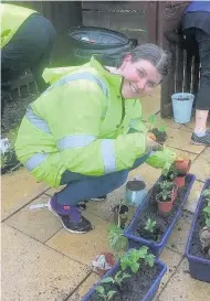  ??  ?? Planting A volunteer shows off her gardening skills