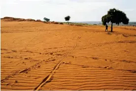  ?? ?? Cropland is covered by sand in Ambovombe, Madagascar. Four years of drought, the worst in decades, along with deforestat­ion caused by people cutting down trees for charcoal and to open up land for farming, have transforme­d the area into a dust bowl. Photograph: OCHA/Reuters