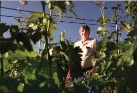  ?? LUCI S. HOUSTON — STAFF PHOTOGRAPH­ER ?? Silicon Valley leader Daniel C. Lynch is shown in his St. Helena vineyard in 2005. Lynch, who was a founder of Interop computer expo, died in his home in St. Helena. He was 82.