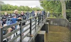  ??  ?? Participan­ts threw roses into the weir on the Caledonian Canal in memory of loved ones.