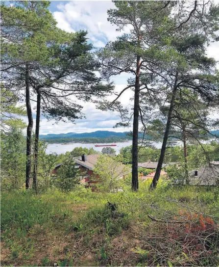  ??  ?? VERNET: Bak huset til Vibeke-Emilie Abrahamsen (taket til høyre i bildet) ligger Røsskleiva naturreser­vat. Fylkesmann­en mener hun og naboen har tatt seg ulovlig til rette.