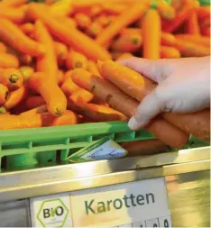  ?? Foto: Marc Müller, dpa ?? Bio-Karotten sind ein heimisches Gemüse, trotzdem wird mehr als ein Drittel der Ware importiert.