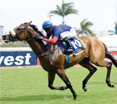  ?? Picture: JC Photograph­ics ?? GOOD BET. Captain And Master will be having his third run after a layoff and Piere Strydom makes him a banker in all bets when the son of Captain Al lines up in Race 7 at Turffontei­n today.