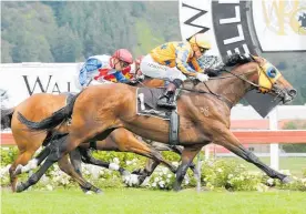  ?? Picture / Trish Dunell ?? Opie Bosson rides Age of Fire to victory in the $225,000 Levin Classic at Trentham on Saturday.